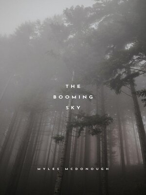 The Booming Sky - ebook